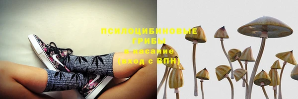 кокаин Ветлуга