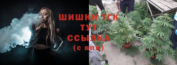 прущий лед Весьегонск